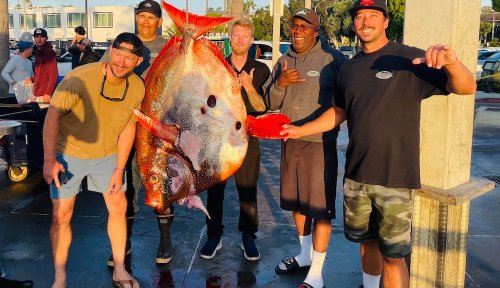 First-time angler lands rare moonfish, a pending world record