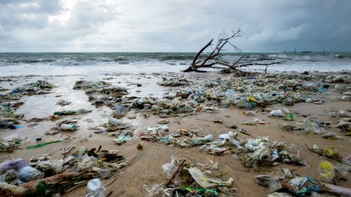 Coca-Cola, Pepsi highlight the 20 corporations producing the most ocean pollution