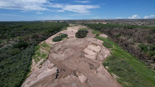 The Rio Grande went dry in Albuquerque for first time in 40 years. A key fish habitat went with it.