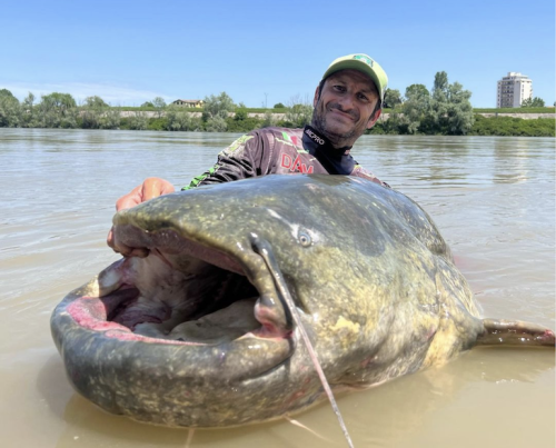 Fisherman lands world-record-size catfish that stretches over 9 feet ...