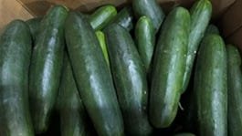 Salmonella outbreak linked to cucumbers, more than 20 sickened in 15 states