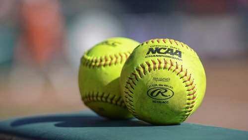 Adorable dog seemingly had a blast while briefly interrupting a college softball game