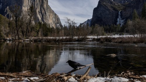 Road to Yosemite National Park closes due to rockslide: What to know