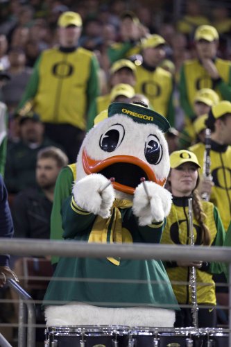 Ranking college football's most iconic and unique mascots | Flipboard