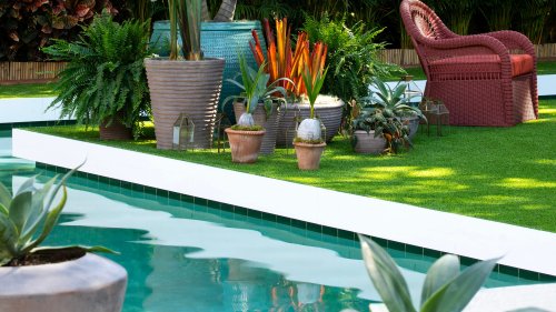 Selecting the right container for gardening can be a daunting choice: Where to begin