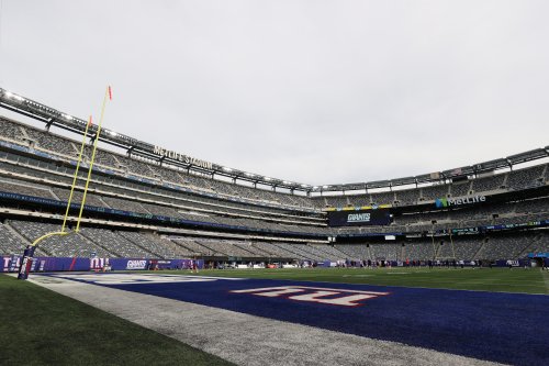 Giants owner not ready to sign off on all-grass surface for MetLife