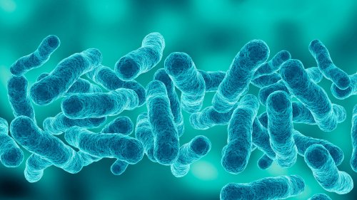 1 dead in NYC Legionnaires' disease outbreak and over 70 cases confirmed