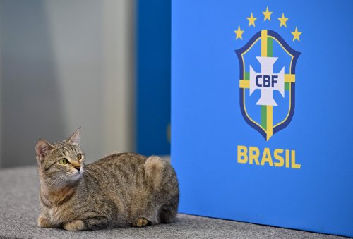 Brazil's press officer had no time for cat shenanigans at Vinicius Jr's press conference