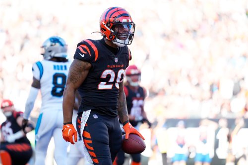 Bengals Provide Injury Updates On Joe Mixon And Hayden Hurst | Flipboard