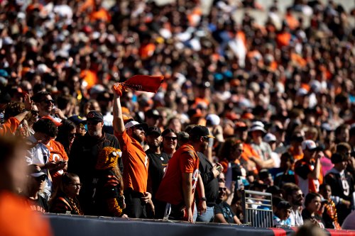 AEW's Renee Paquette, Jon Moxley are Rulers of Jungle for Bengals against Chiefs