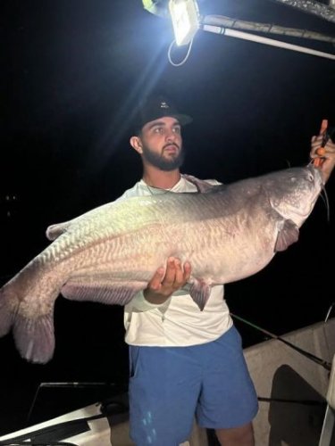 Fisherman sets state record for blue catfish by a mere 4 ounces
