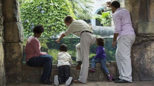 Top zoos in the US? USA TODAY 10Best reveals 2023 Readers' Choice Awards