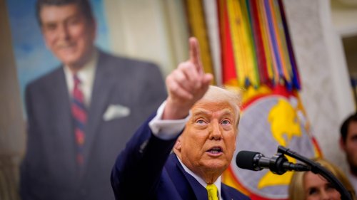 Trump needs you to believe there's a border 'emergency' so he can deport anyone | Opinion