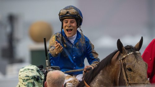 Junior Alvarado appeals fine, suspension for Kentucky Derby ride on Sovereignty