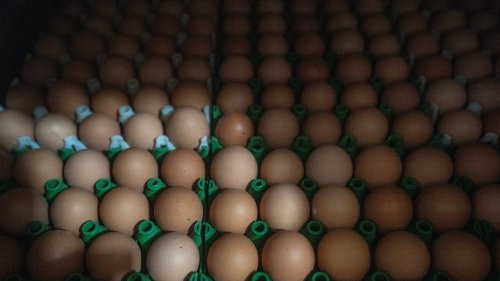 Egg prices fell for the first time in months. Will they get any cheaper?