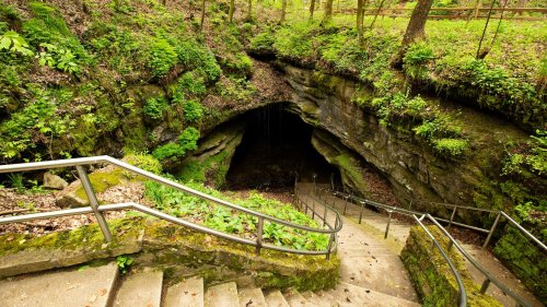 You have to look beneath the surface to fully appreciate Mammoth Cave National Park