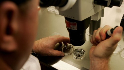 Alabama justice invoked 'the wrath of a holy God' in IVF opinion. Is that allowed?