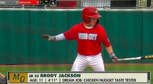A Little League player listed his dream job as 'Chicken Nugget Taste Tester' and fans loved it