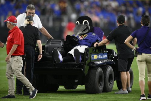 Baltimore Ravens Mascot Poe Is Out For The Season With A Drumstick ...