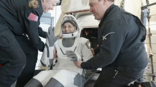 Starliner astronauts are back: Butch Wilmore, Suni Williams land with Crew-9 in Florida
