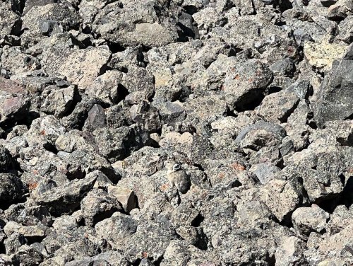 Can you spot the elusive Yellowstone pika in this photo?
