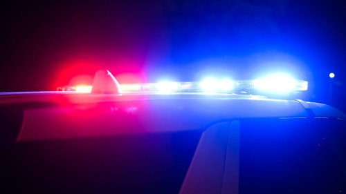 Firefighter fired after allegedly sharing photos of Georgia twin brothers' death scene