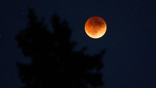 What time is the total lunar eclipse tonight? Key moments, schedule ...