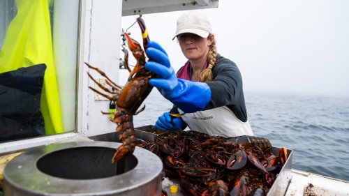 Climb aboard four fishing boats with us to see how America's warming waters are changing