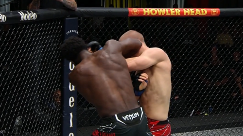 UFC Fight Night 206 video: Chidi Njokuani demolishes Dusko Todorovic with brutal elbow knockout