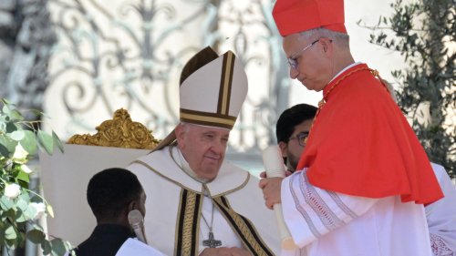 How a Chicago native became pope: See Robert Francis Prevost's path to making history