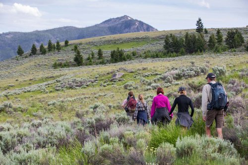 The 5 best hikes at Yellowstone National Park