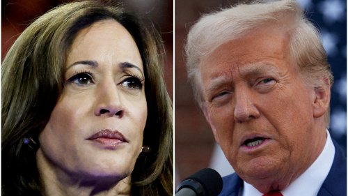 Donald Trump approval rating: Would Trump beat Harris in election do-over? What voters said