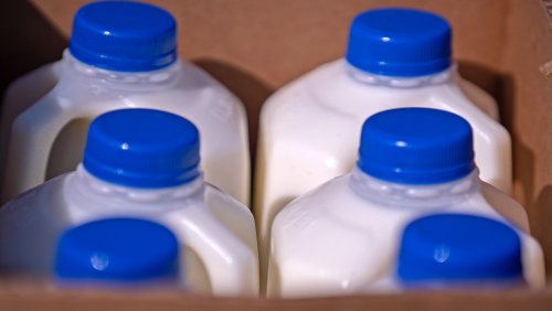 FDA suspends dairy quality testing amid federal workforce cuts. Is it safe to consume milk?