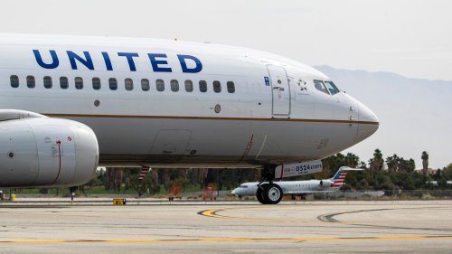 Flames and fur cause flight delay: United jet turns back after dramatic engine scare