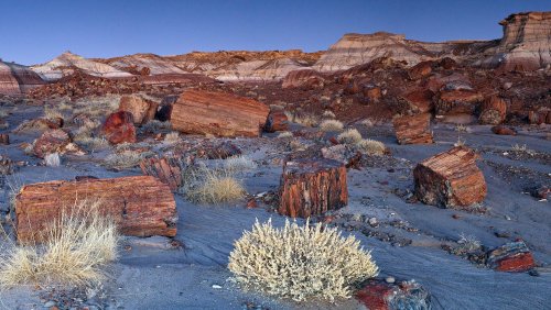 Why Petrified Forest National Park deserves to be a destination, not just a detour
