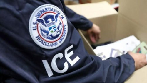 'We're coming for you': Almost 800 arrested in immigration crackdown in Florida