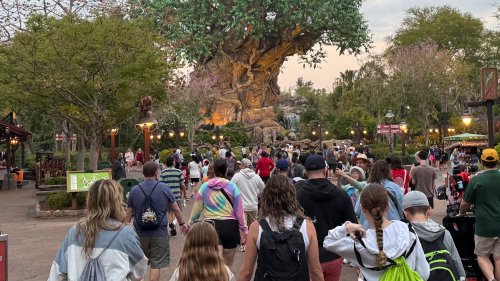 It’s going to cost less to take your kids to Disney World this summer