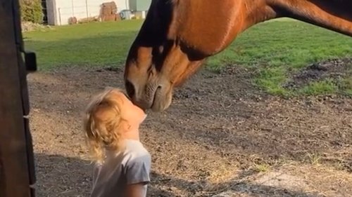 Watch this child's magical hug with a gentle horse