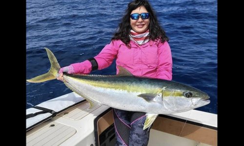 California angler shatters 34-year-old yellowtail world record