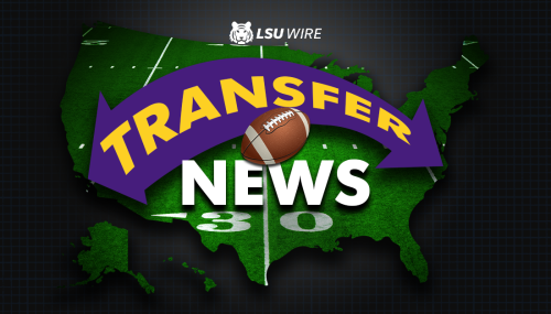 LSU offers Division II transfer portal tight end