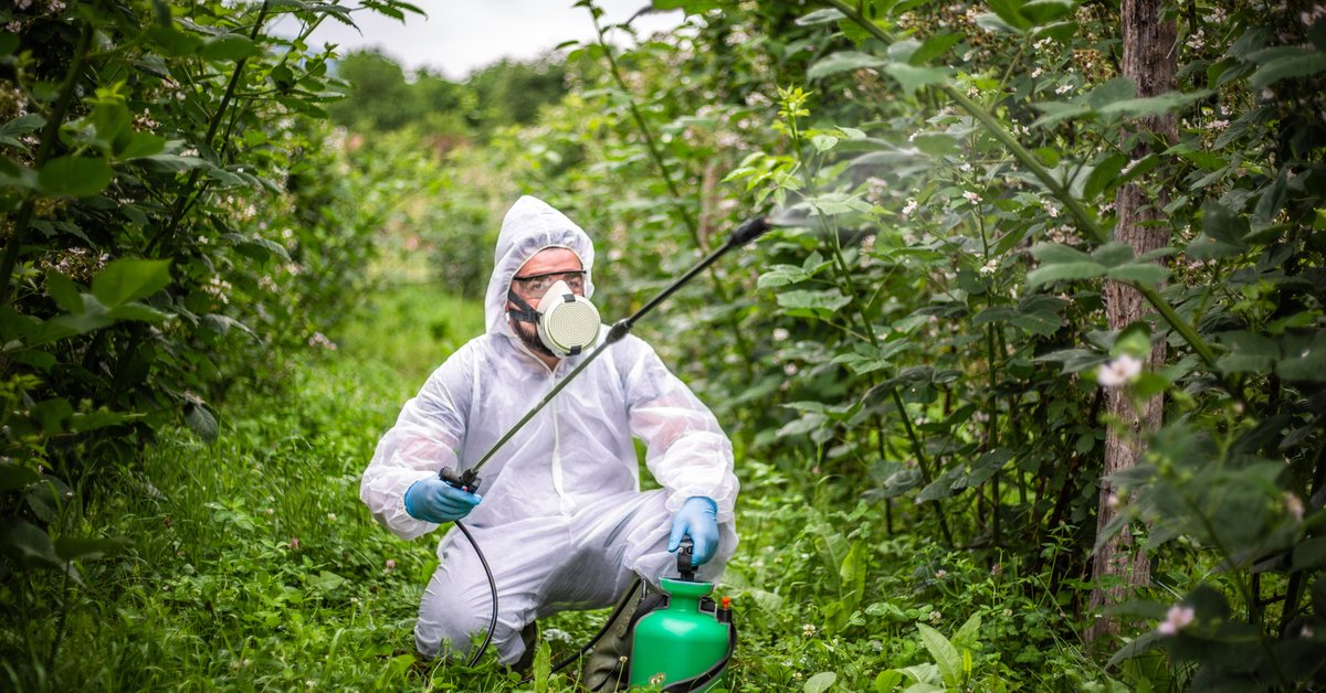Agriculture biologique : pourquoi certains font marche arrière