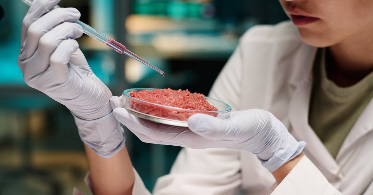 Prophétie – Demain, mangera-t-on de la viande artificielle ?