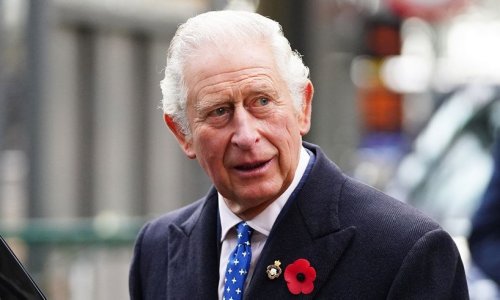 Prince Charles Took His Competition With Prince Harry Too Far And Attempts To Rectify Issue With This Statement - US Daily Report
