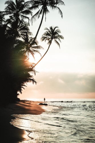 Dalawella Beach Sri Lanka: The ultimate guide