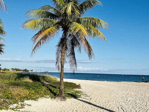 8 Great Reasons Sombrero Beach is Florida Keys Best Beach