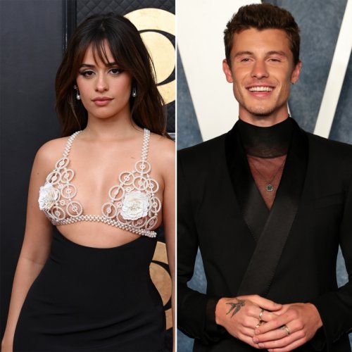 Camila Cabello, Shawn Mendes' Feelings Came 'Flooding Back' After Split