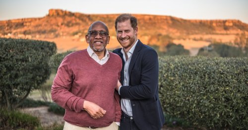 Prince Harry ‘in Shock’ as He Leaves His Own Charity, Sentebale, Amid Board Infighting