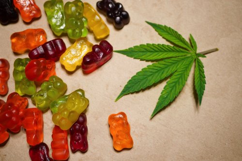 10 Best CBD Gummies for Pain: Top Brands to Help You Feel Better in 2022