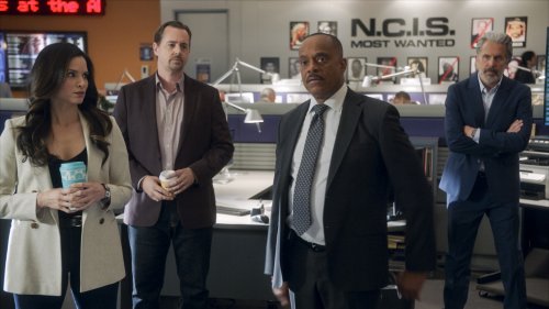 How Many ‘NCIS’ Shows Are They? A Complete Guide to Every Navy Spinoff