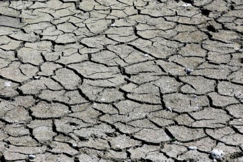 Temperatures Rise as France Tackles Its Worst Drought on Record